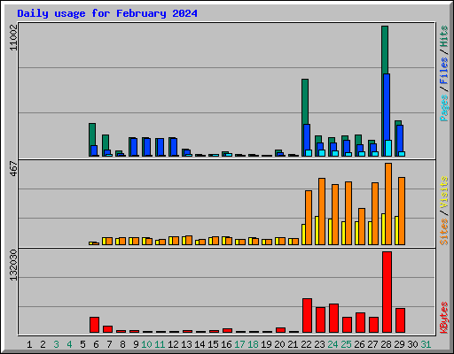 Daily usage for February 2024