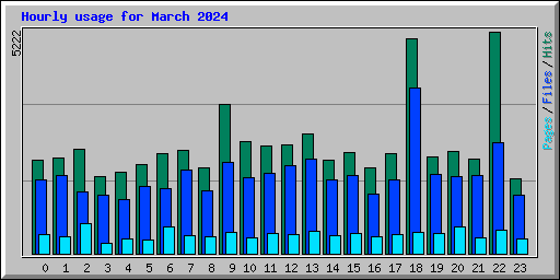 Hourly usage for March 2024