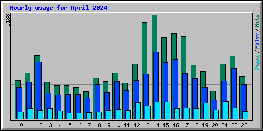Hourly usage for April 2024